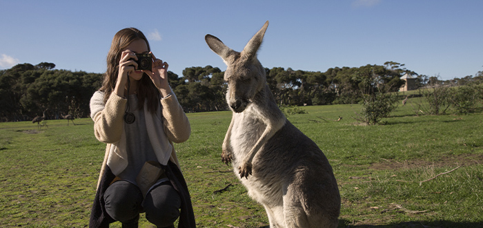 donde-ver-canguros-en-australia