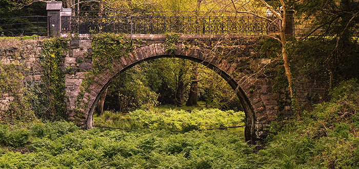 Paisajes de Irlanda | Parque Killarney