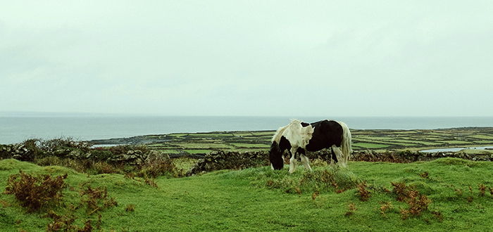 Islas Arana