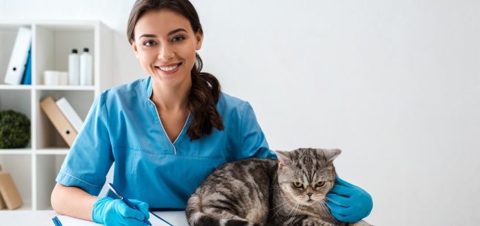 Estudiar-veterinaria-en-el-extranjero