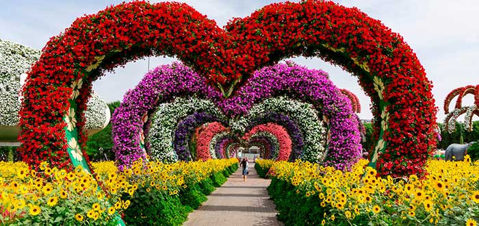 Dubai-Miracle-Garden